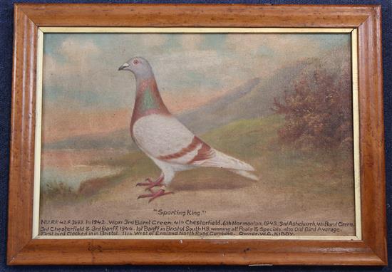 Andrew Beer Portrait of the racing pigeon, Sporting King, c.1943, 11.5 x 17.5in.
